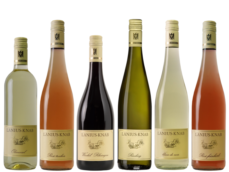 6 verschiedene Weinflaschen