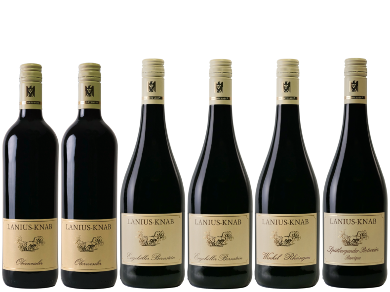 6 Flaschen Rotwein: 2 Oberweseler, 2 Engehöller Bernstein, 1 Winkel Rheingau, 1 Spätburgunder Rotwein Barrique