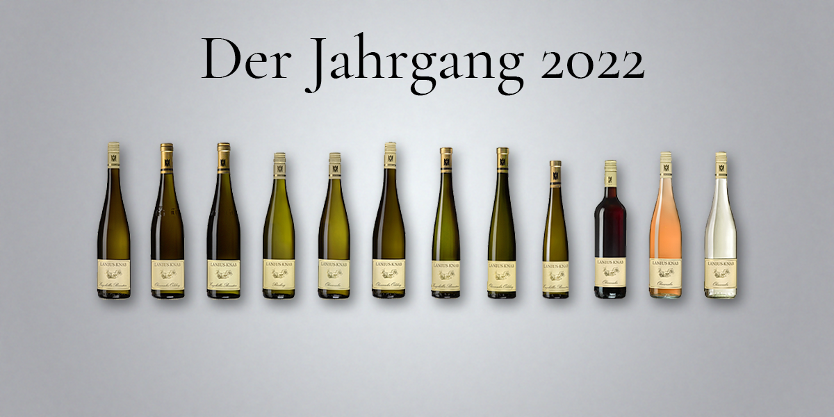Jahrgang 2022 Weinflaschen