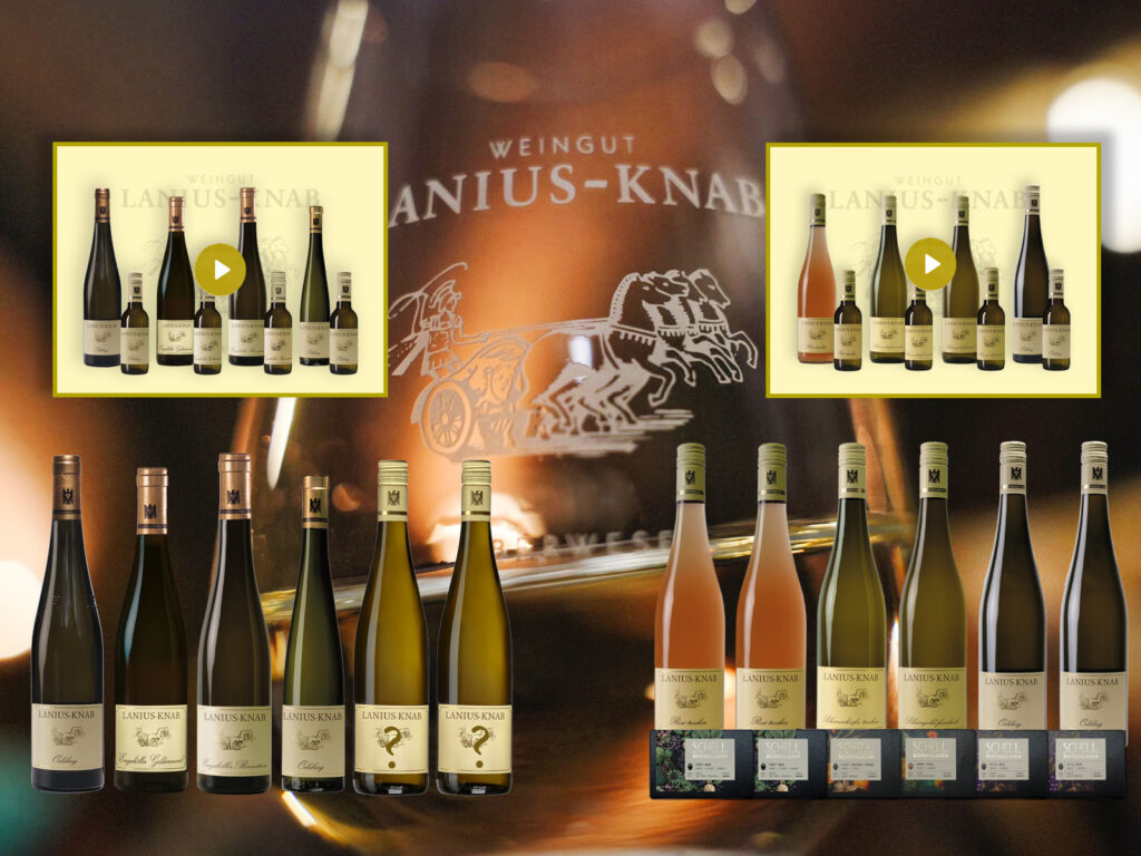 Weinproben Aufzeichnungen und Weinpakete